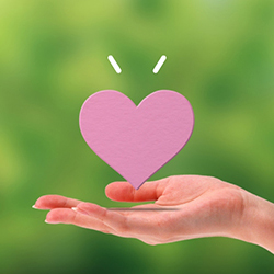 山梨恋活コミュニティ婚活マッチングアプリ合コンなら入倉結婚相談所山梨県甲府店結婚活動マップ